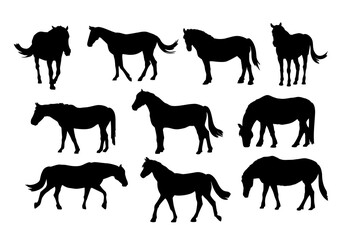 Different horses silhouette set