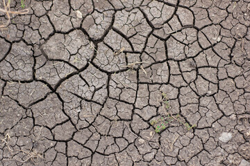 technology waste in the arid soil