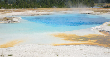 Geyser in Yellowstone National Park, Wyoming, USA