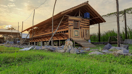 Fototapeta premium goat barn farm