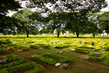 Vista panorâmica de um cemitério com muitas árvores e grama.