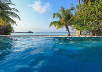 Fototapeta na wymiar pool with a palm tree on the shore of a tropical island
