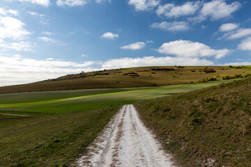 Fototapeta na wymiar A Pathway through Farmland in the Sussex Countryside