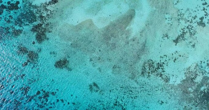 Aerial Shot Move forward  Tilt Up Reveal, Amazing Tropical Island dos moquices los roques  venezuela.
