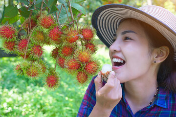 A lovely young woman wearing a plaid shirt and a standing hat, holding a bright red rambutan and smiling happily, the colorful rambutan is ripe and ready to eat in a natural garden in Thailand.