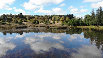 Fototapeta premium huisapi, chile