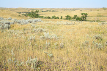 Little Missouri National Grassland in North Dakota, USA