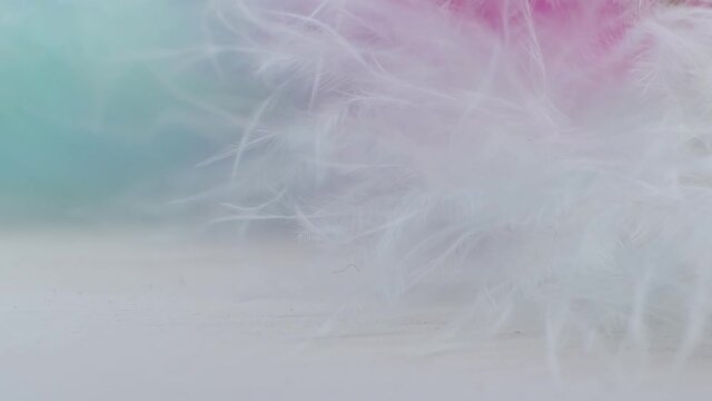Light fluffy a white feathers abstract background. Macro, Close up. selective focus, blurred focus. slow motion video stock footage.