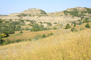 Fototapeta premium Thodore Roosevelt National Park in North Dakota, USA