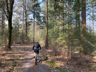 Mountainbiking at the forest of hoge veluwe national park