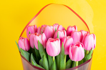 Fresh pink tulips on yellow background. Selective focus. Mother’s Day.