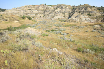 Theodore Roosevelt National Park in North Dakota, USA, north unit