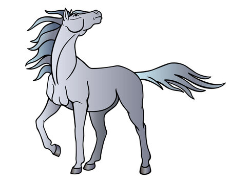 Horse. A beautiful gray stallion looks into the sky, the wind flutters its long mane and tail - vector full color picture with an animal. A magnificent purebred gray horse plays in the wind.