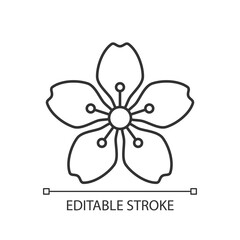 Cherry blossoms linear icon