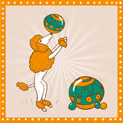 Circus and amusement vector illustrations. Poodle. Doodle style drawing © navna