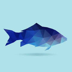 illustration of fish silhouette