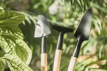 gardening tools trowels and small rake