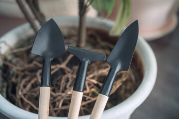 gardening tools with plant roots on background
