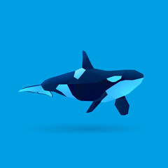 illustration of orca