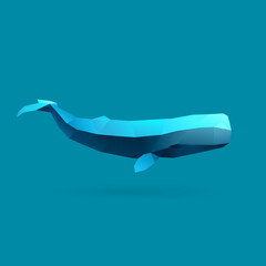 llustration of sperm whale