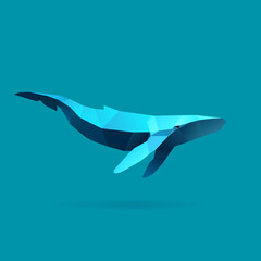 Fototapeta premium illustration of whale