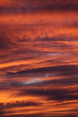 Fototapeta premium sunset and clouds' textures 