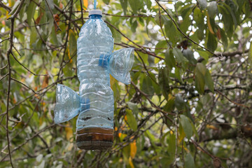Trampa de avispa velutina