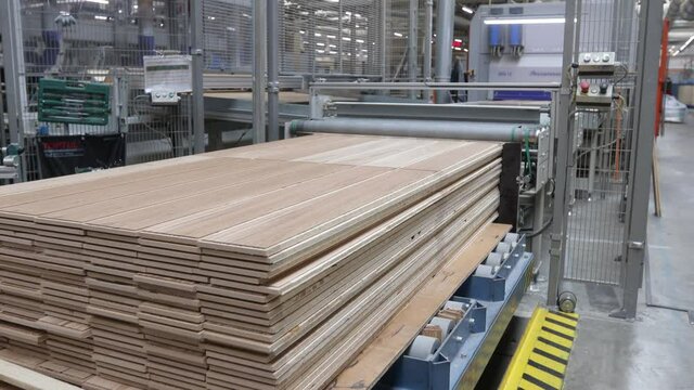 Carpentry factory. Production line of parquet board. Modern industrial factory for laminated flooring.