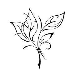 ornament 1737. stylized short twig with leaves and curls black lines on a white background