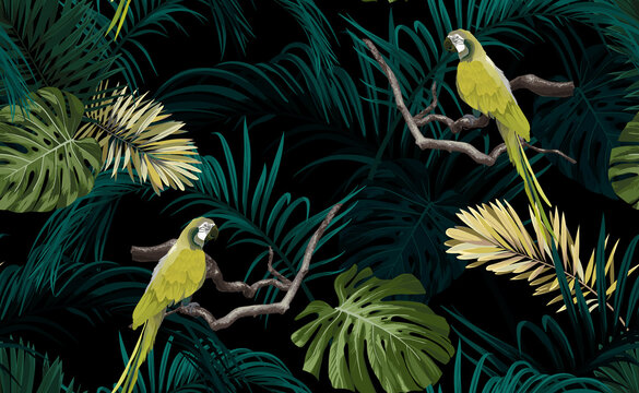Dark tropical seamless pattern with exotic monstera and royal palm leaves, light green perrots and branches. Vector illustration.