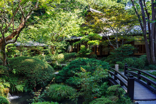 Beautiful Japanese Garden with decorative bridge in Tokio, Japan.