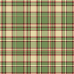 Plaid seamless pattern. Vector background of textile ornament. Flat fabric design.