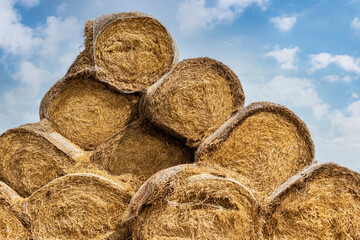 Straw bales on a background of blue sky. Agriculture. Litter and pet food. Harvesting feed for cattle.