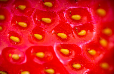 extremly close up macro shot strawberry seeds pattern texture background
