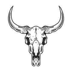 Vintage illustration of buffalo skull