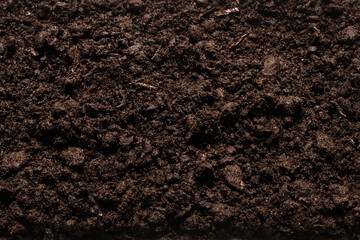 Black land for plant background.