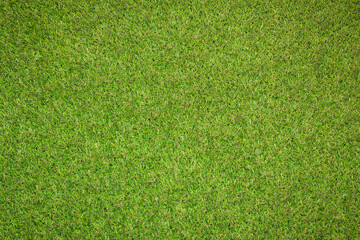 Fototapeta premium artificial grass texture for background 