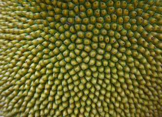 Jackfruit close-up pattern texture background