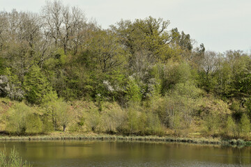 Landscape with a lake in Ryton Pools Country Park, Ryton-on-Dunsmore, England, UK	