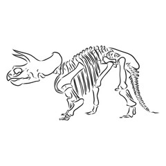 Fototapeta na wymiar Dinosaur skeleton.Vector Image triceratops skeleton isolated on green background.Can be used as logo. For flat illustrations