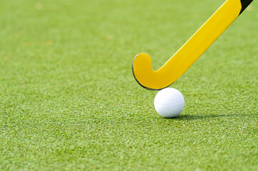 Field hockey stick and ball on green grass. Professional sport concept