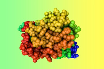 Molecular model of human anaplastic lymphoma kinase (ALK) in complex with inhibitor crizotinib. Rendering based on protein data bank entry 2XP2. Rainbow coloring from N to C. 3d illustration