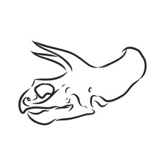 Dinosaur skeleton.Vector Image triceratops skeleton isolated on green background.Can be used as logo. For flat illustrations