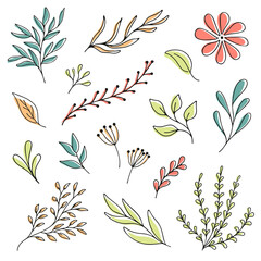 Set woodland leaves illustration. Hand draw vector collection of cute foliage. Summer and autumn design elements. Nature elements