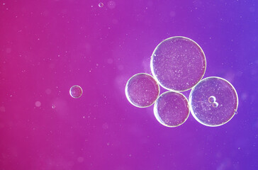 Top view of oil bubble on the water with colorful gradient background. Abstract macro of circles...