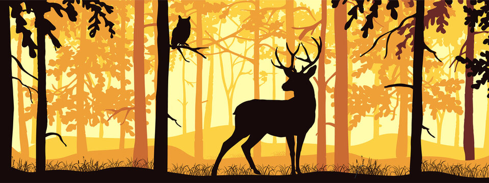 Horizontal banner of deer with antlers posing, forest background, silhouettes of trees. Magical misty landscape. Orange and yellow illustration. Bookmark.