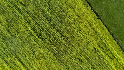 Herbstlandschaft - Luftbild