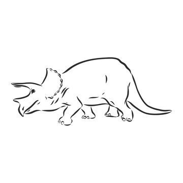 Dinosaur.Hand Drawn triceratops dinosaur vector sketch illustration