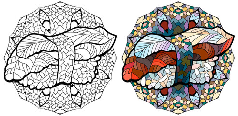Zentangle nigiri with eel. Hand drawn decorative vector illustration with mandala for coloring. Color and outline set