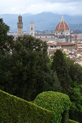 Obraz premium The Cathedral of Santa Maria del Fiore in Florence and the Palace of the Town Hall seen from Bardini garden. Italy